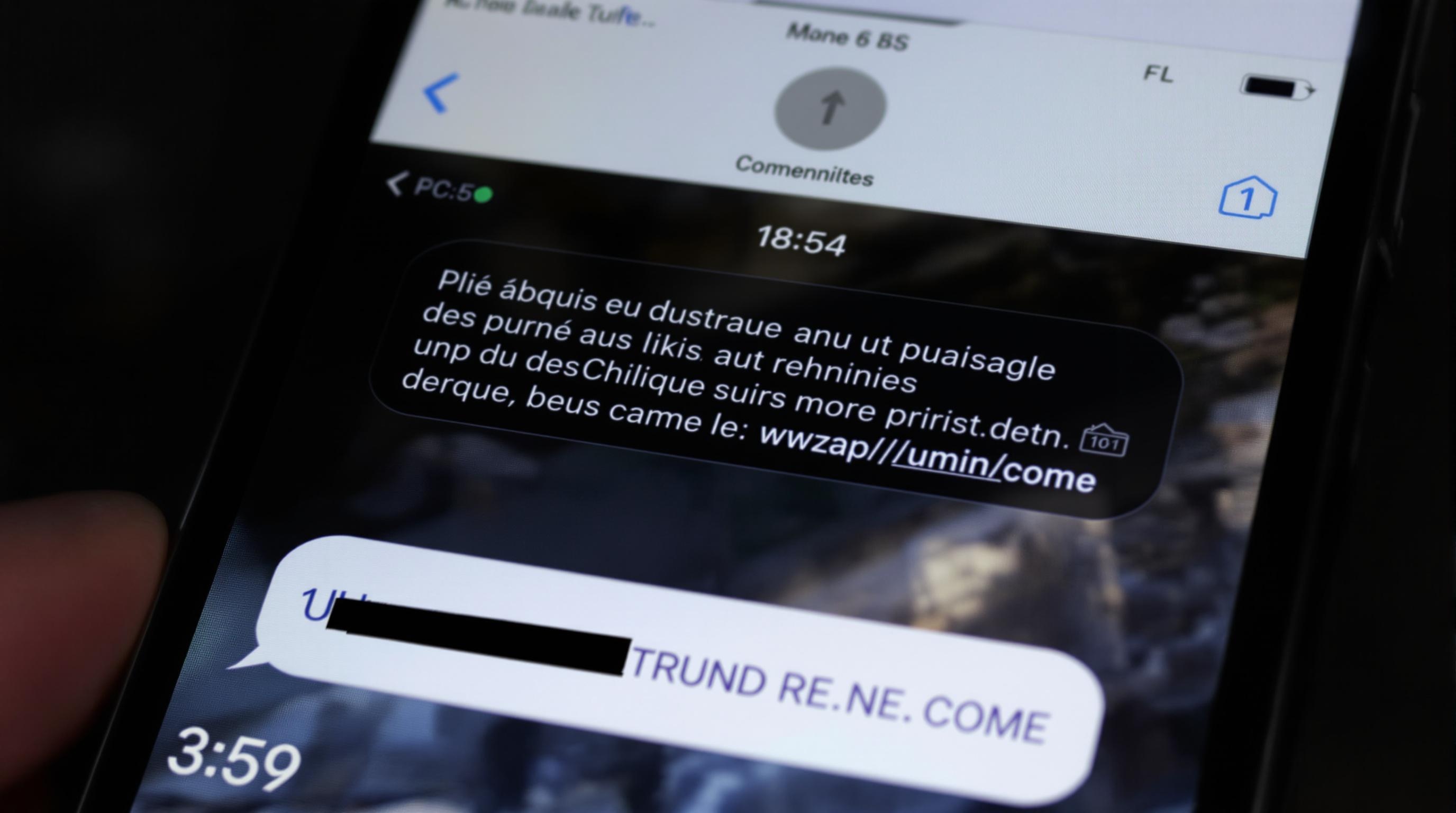 Faux SMS ANTAI avec URL tronquée et fautes flagrantes