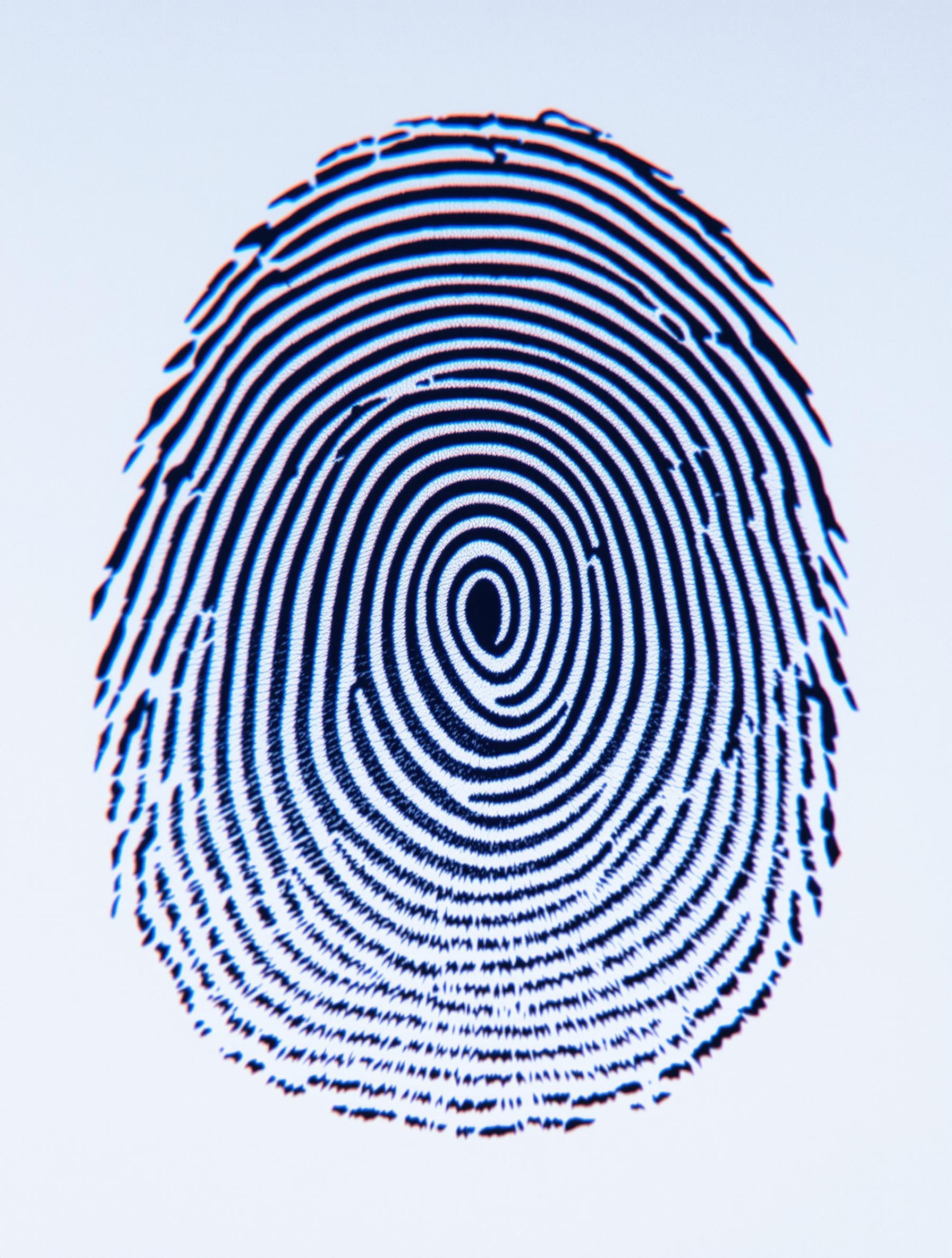 Détail extrême d'une empreinte digitale humaine