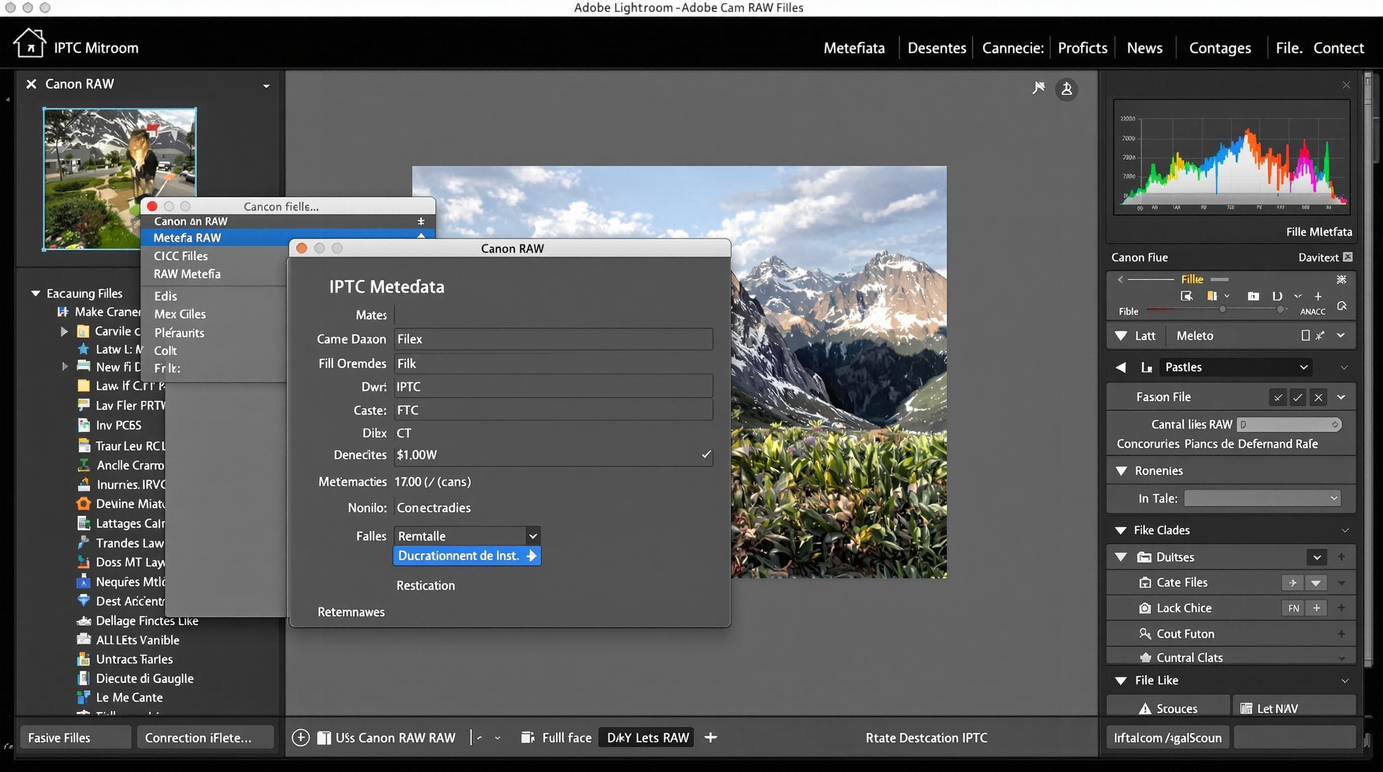 Vue de Lightroom affichant un RAW Canon et les IPTC remplies